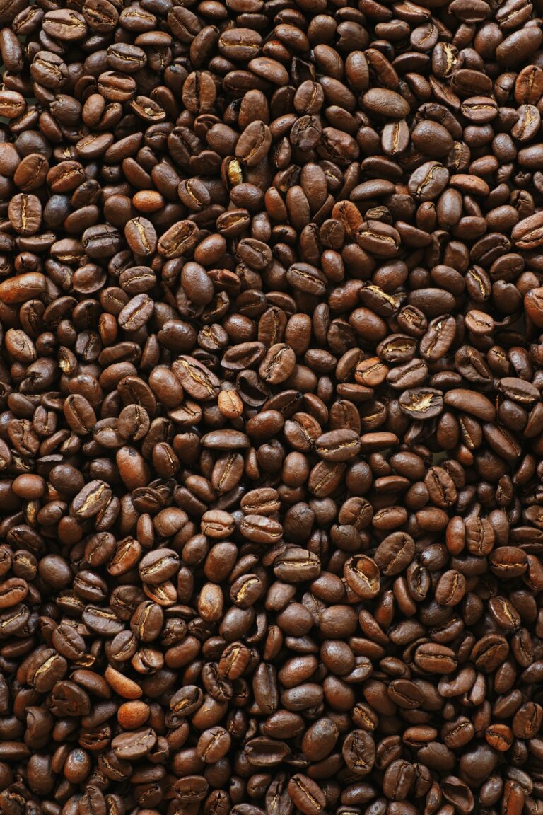 El impacto de la altura en el sabor