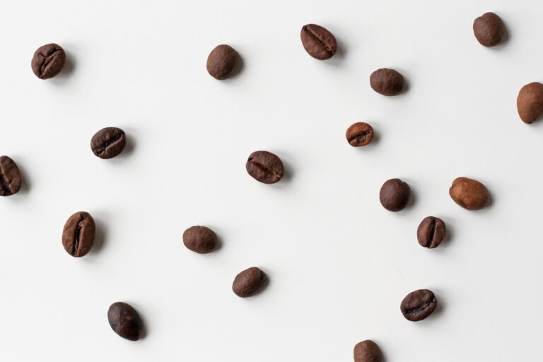 Sustentabilidad y futuro del café mexicano