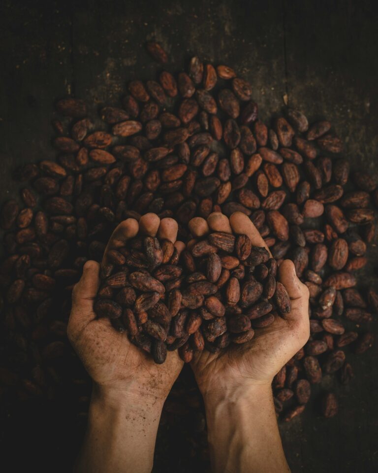 Guía básica para catar café de especialidad