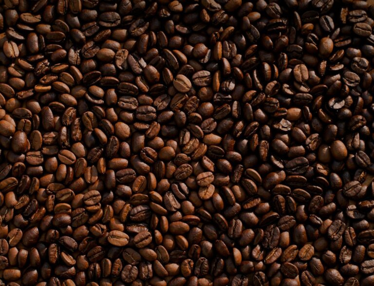 Cómo elegir el mejor café de Chiapas
