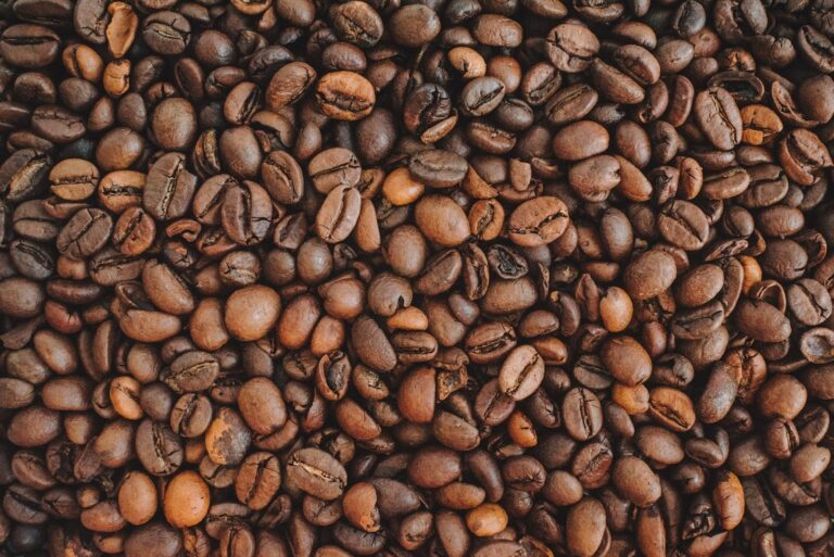 Por qué el café chiapaneco es mundialmente reconocido